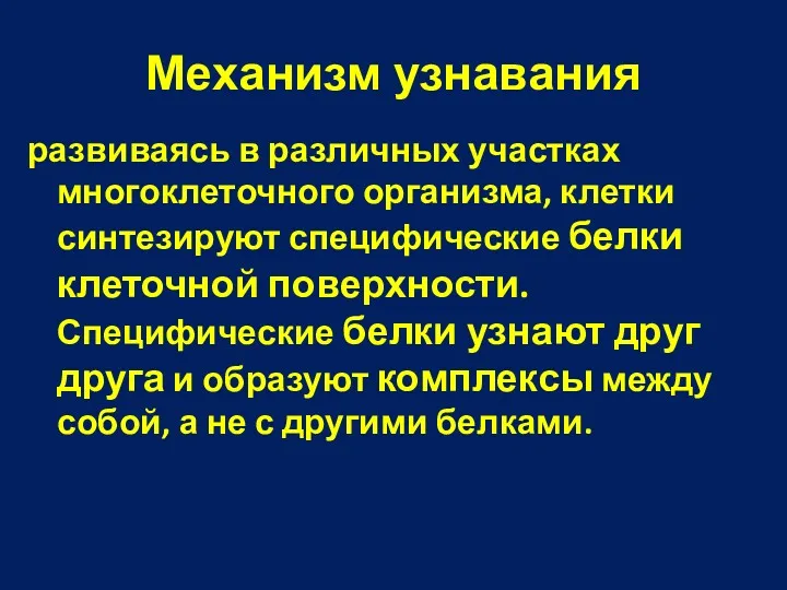 Механизм узнавания развиваясь в различных участках многоклеточного организма, клетки синтезируют