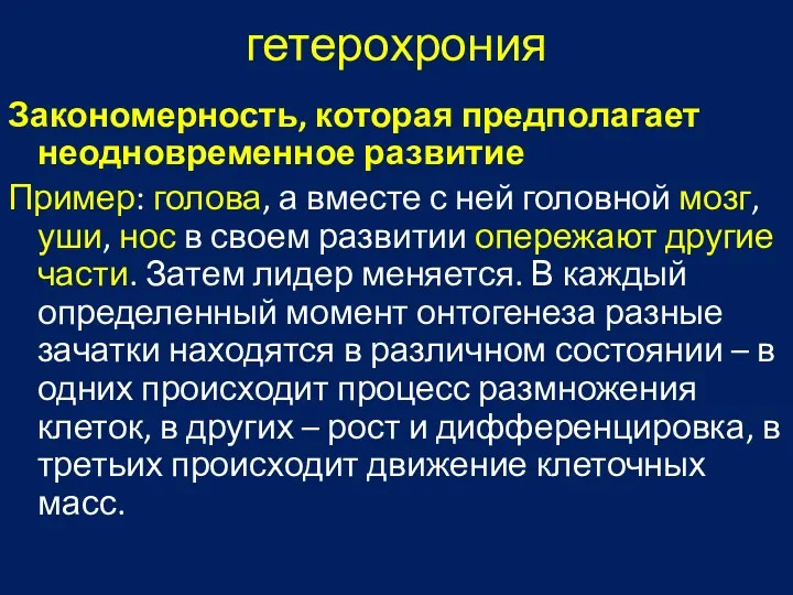 гетерохрония Закономерность, которая предполагает неодновременное развитие Пример: голова, а вместе