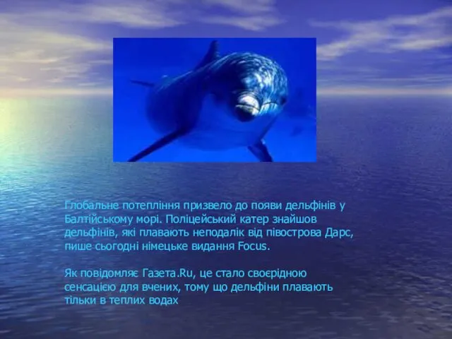 Глобальне потепління призвело до появи дельфінів у Балтійському морі. Поліцейський