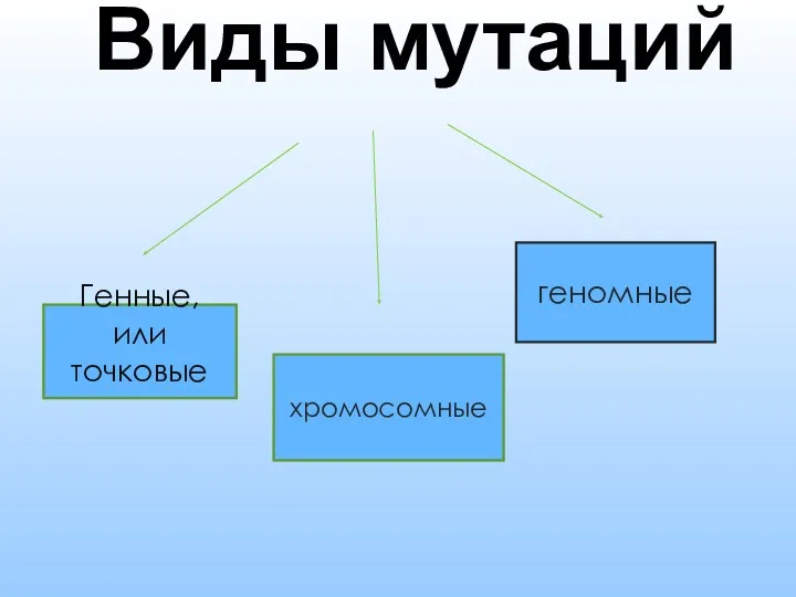 Виды мутаций геномные хромосомные Генные, или точковые .