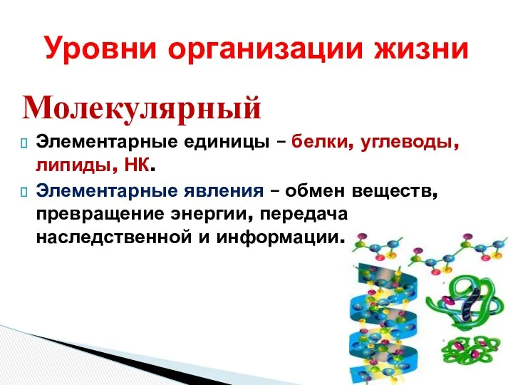 Молекулярный Элементарные единицы – белки, углеводы, липиды, НК. Элементарные явления