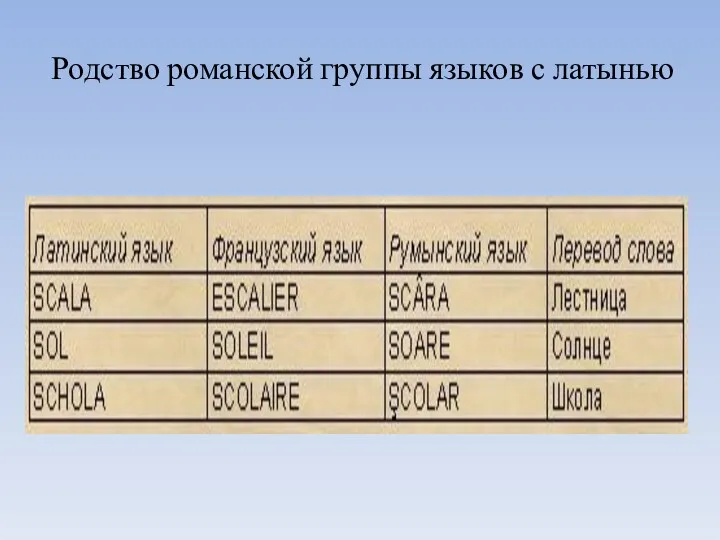 Родство романской группы языков с латынью