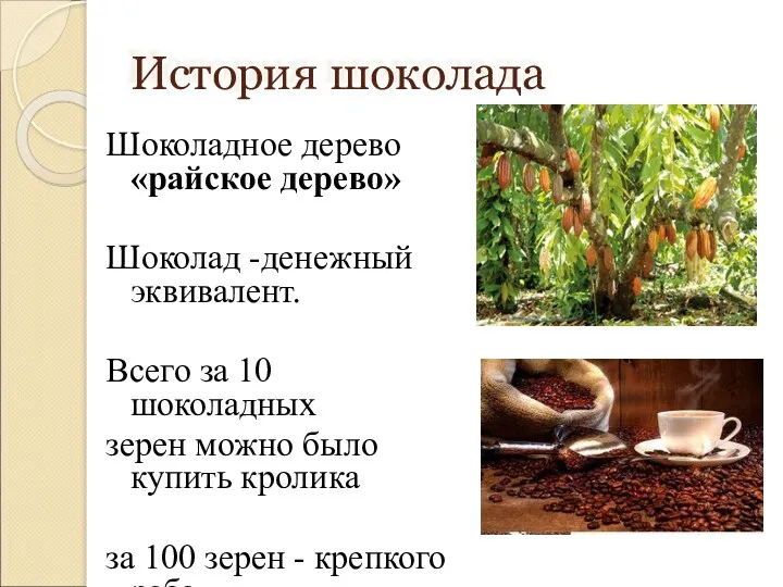 История шоколада Шоколадное дерево «райское дерево» Шоколад -денежный эквивалент. Всего