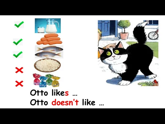 Otto likes … Otto doesn’t like …