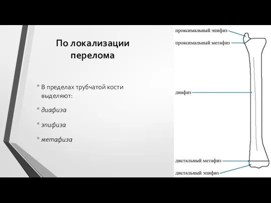 По локализации перелома В пределах трубчатой кости выделяют: диафиза эпифиза метафиза