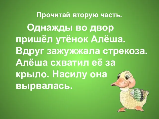 Прочитай вторую часть. Однажды во двор пришёл утёнок Алёша. Вдруг зажужжала стрекоза. Алёша