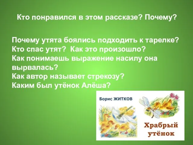 Кто понравился в этом рассказе? Почему? Почему утята боялись подходить