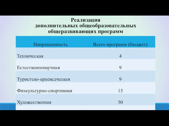 Реализация дополнительных общеобразовательных общеразвивающих программ