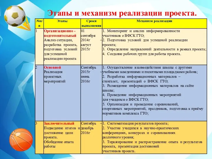 Этапы и механизм реализации проекта.