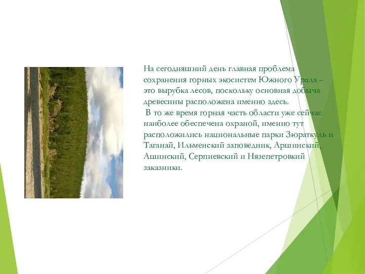На сегодняшний день главная проблема сохранения горных экосистем Южного Урала – это вырубка