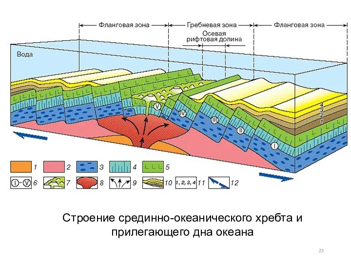 Строение срединно-океанического хребта и прилегающего дна океана