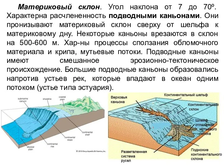 Материковый склон. Угол наклона от 7 до 70º. Характерна расчлененность