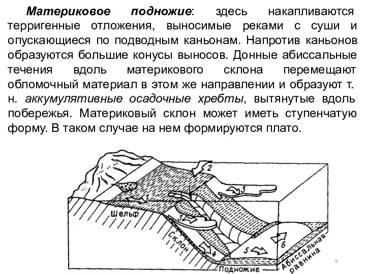 Материковое подножие: здесь накапливаются терригенные отложения, выносимые реками с суши