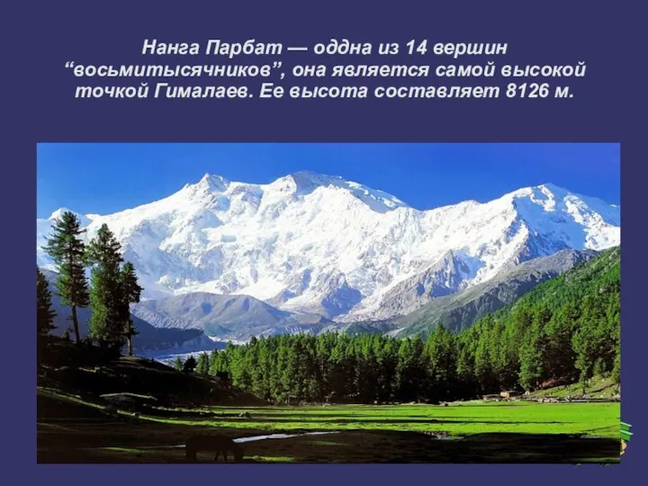 Нанга Парбат — оддна из 14 вершин “восьмитысячников”, она является