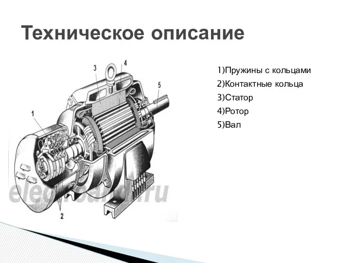 Техническое описание 1)Пружины с кольцами 2)Контактные кольца 3)Статор 4)Ротор 5)Вал