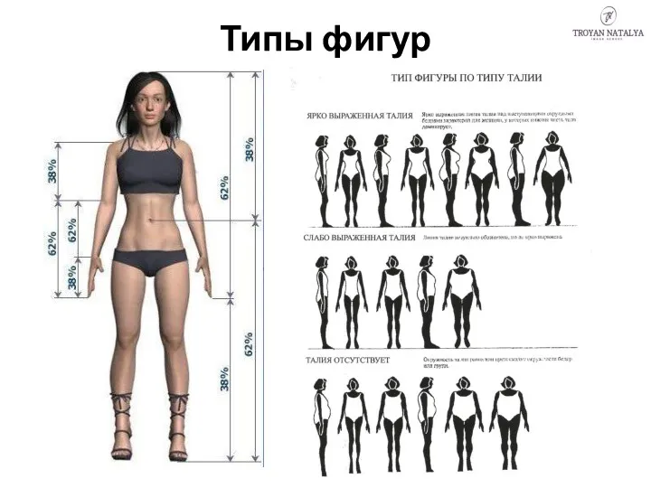 Типы фигур