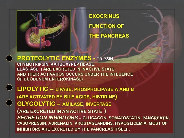 EXOCRINUS FUNCTION OF THE PANCREAS PROTEOLYTIC ENZYMES - TRIPSIN, CHYMOTRIPSIN,