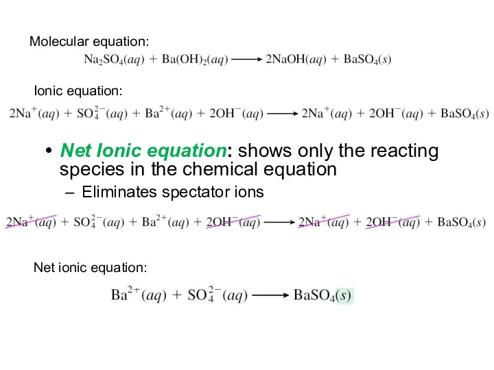 Net Ionic equation: shows only the reacting species in the