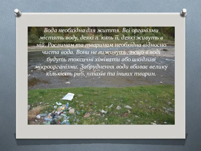 Вода необхідна для життя. Всі організми містять воду, деякі п`ють