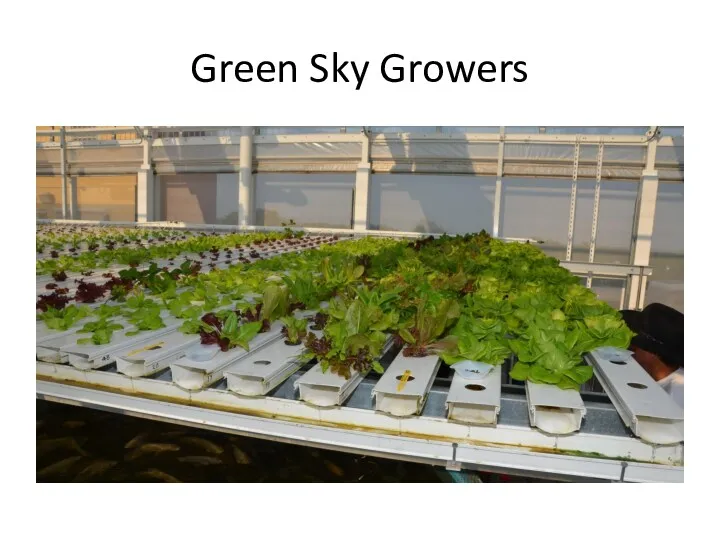 Green Sky Growers