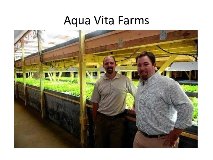 Aqua Vita Farms