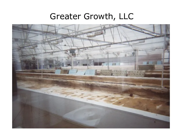 Greater Growth, LLC