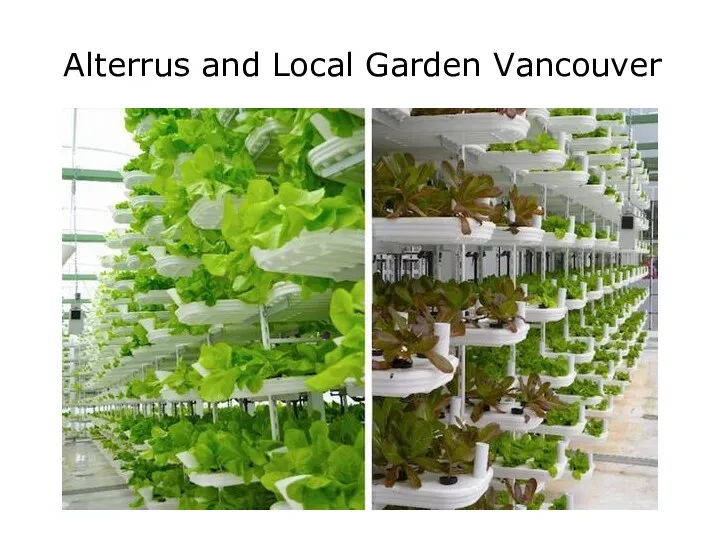 Alterrus and Local Garden Vancouver