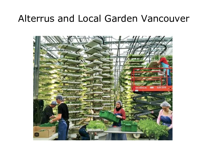 Alterrus and Local Garden Vancouver