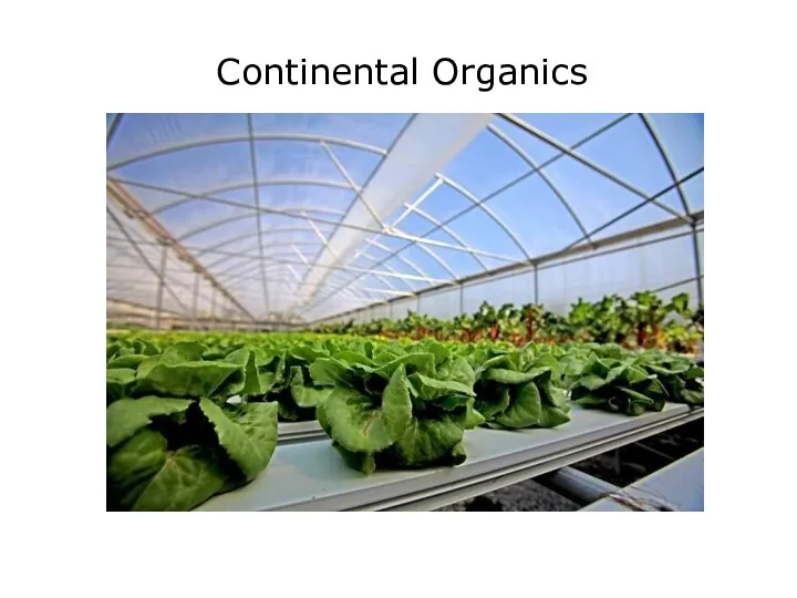 Continental Organics