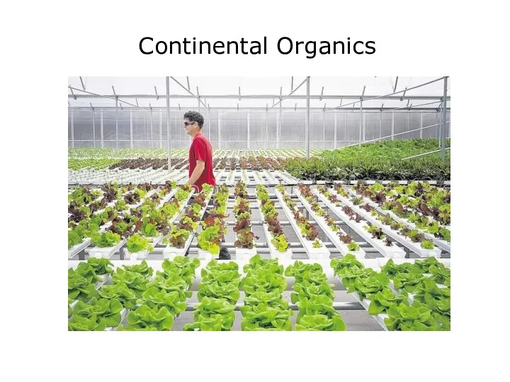 Continental Organics