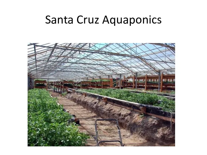 Santa Cruz Aquaponics
