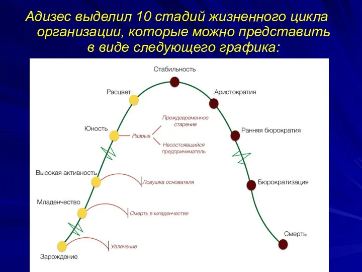 Адизес выделил 10 стадий жизненного цикла организации, которые можно представить в виде следующего графика: