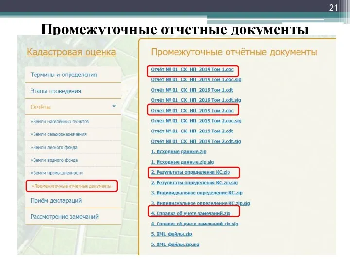 Промежуточные отчетные документы