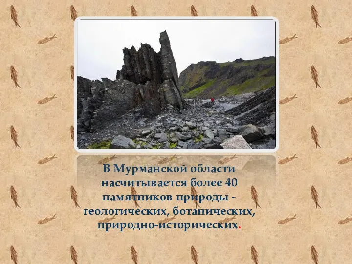 В Мурманской области насчитывается более 40 памятников природы - геологических, ботанических, природно-исторических.