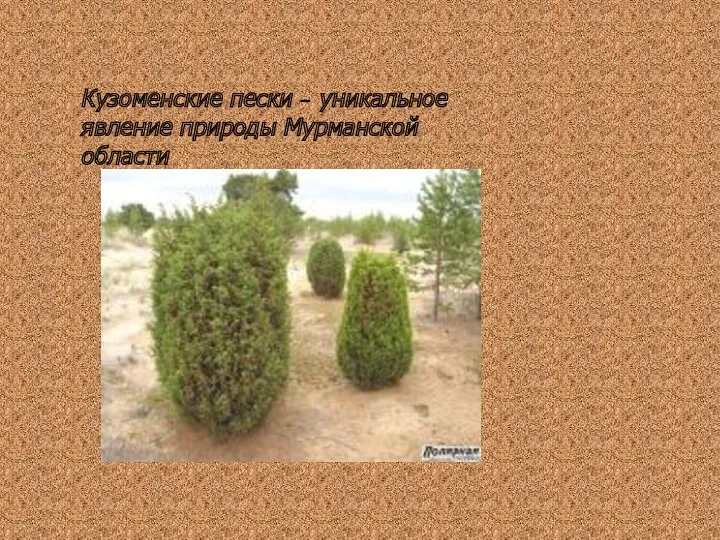 Кузоменские пески – уникальное явление природы Мурманской области