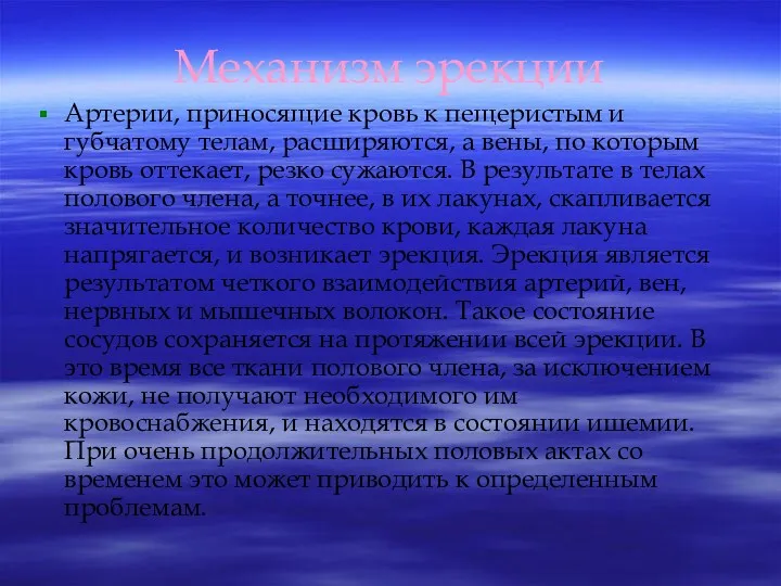 Механизм эрекции Артерии, приносящие кровь к пещеристым и губчатому телам,