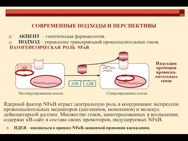 СОВРЕМЕННЫЕ ПОДХОДЫ И ПЕРСПЕКТИВЫ АКЦЕНТ – генетическая фармакология. ПОДХОД –