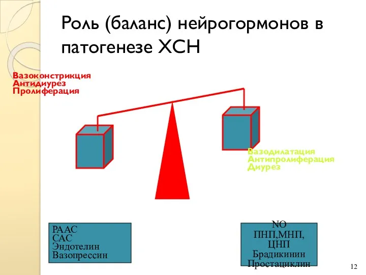 Роль (баланс) нейрогормонов в патогенезе ХСН РААС САС Эндотелин Вазопрессин