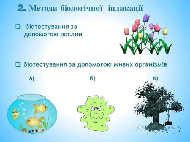 2. Методи біологічної індикації біотестування за допомогою рослин біотестування за допомогою живих організмів а) б) в)