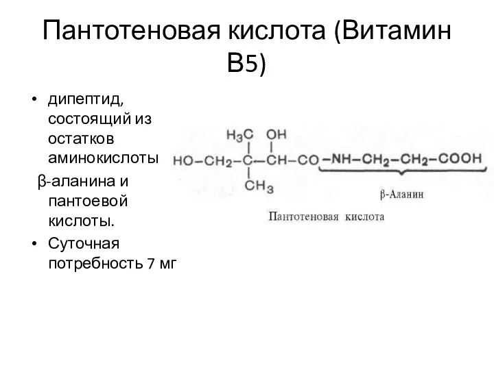 Пантотеновая кислота (Витамин В5) дипептид, состоящий из остатков аминокислоты β-аланина