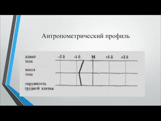 Антропометрический профиль