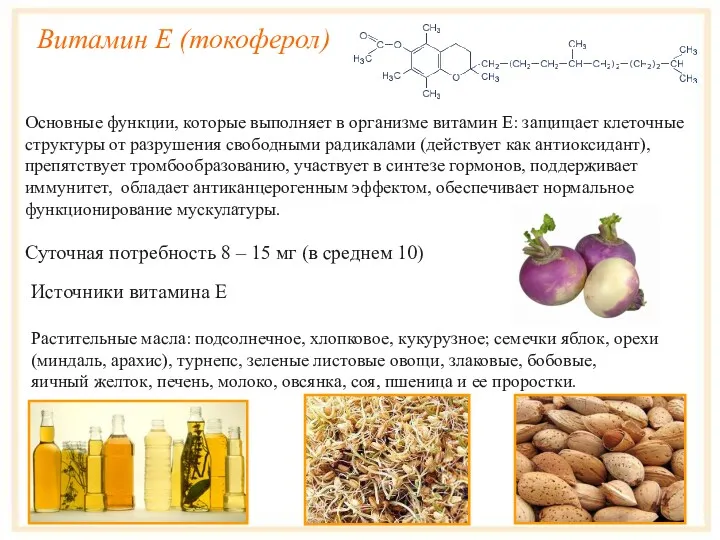 Витамин E (токоферол) Основные функции, которые выполняет в организме витамин