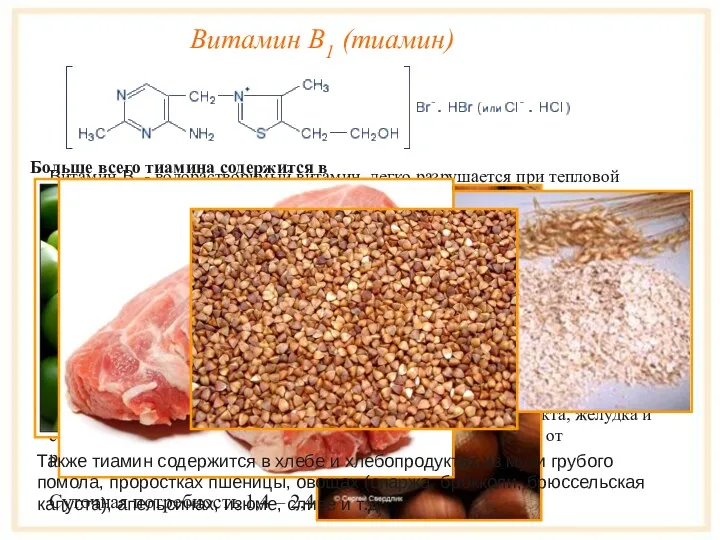 Витамин B1 (тиамин) Витамин B1 - водорастворимый витамин, легко разрушается при тепловой обработке