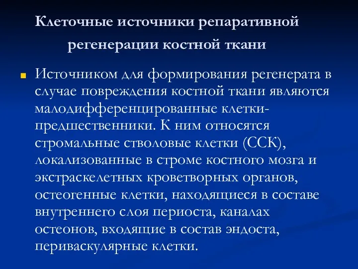 Клеточные источники репаративной регенерации костной ткани Источником для формирования регенерата