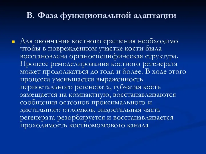 В. Фаза функциональной адаптации Для окончания костного сращения необходимо чтобы