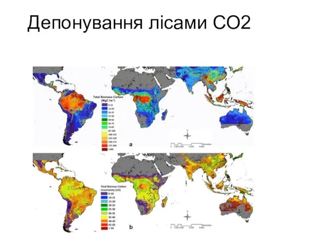 Депонування лісами СО2