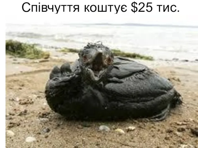 Співчуття коштує $25 тис.