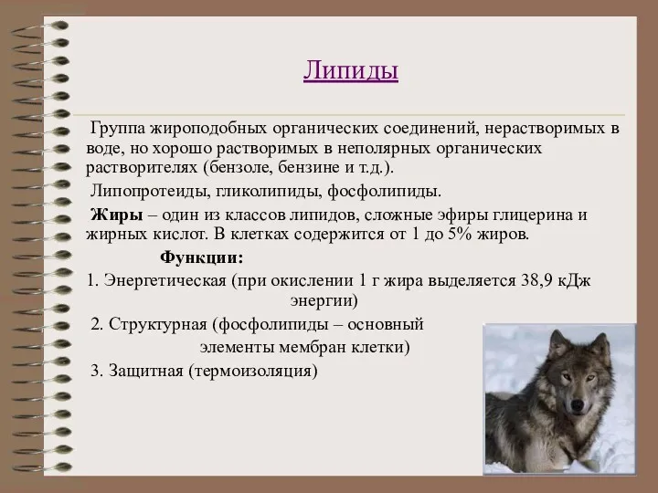 Липиды Группа жироподобных органических соединений, нерастворимых в воде, но хорошо растворимых в неполярных