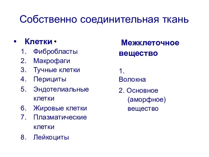 Собственно соединительная ткань Фибробласты Макрофаги Тучные клетки Перициты Эндотелиальные клетки