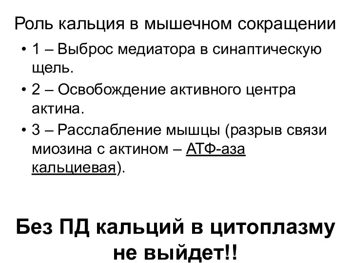 Роль кальция в мышечном сокращении 1 – Выброс медиатора в